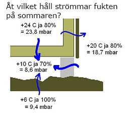 botten-06.jpg